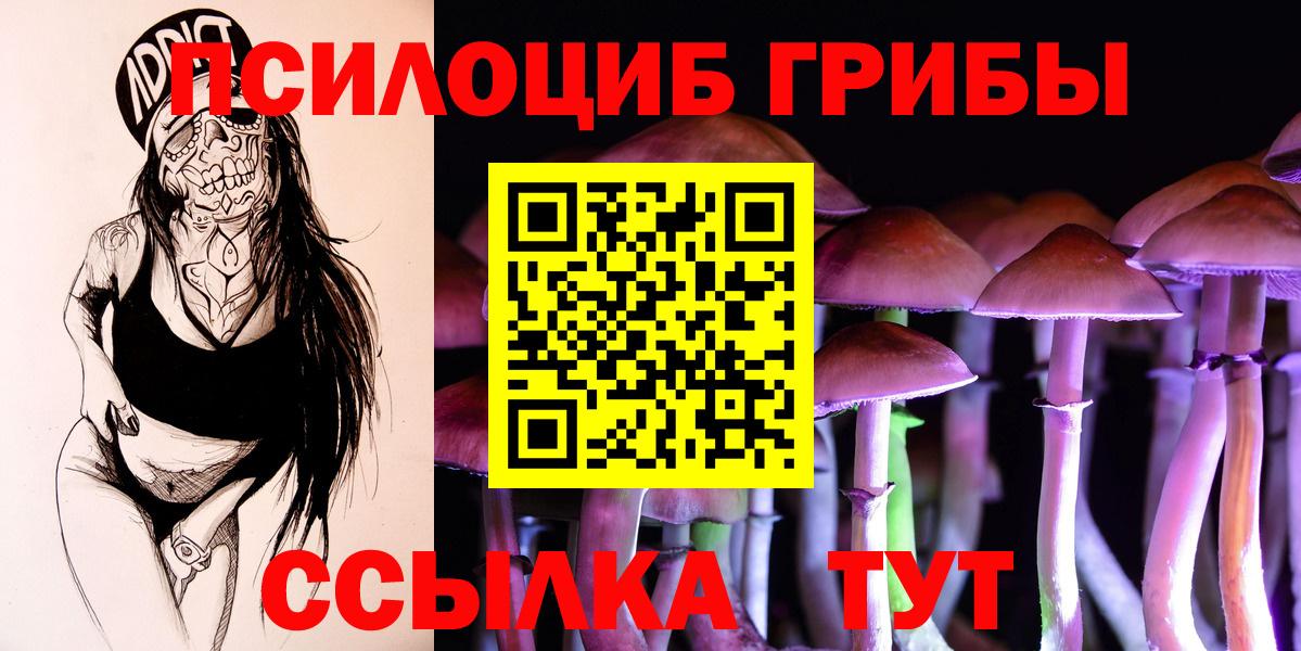 Псилоцибиновые грибы Psilocybe Лабинск