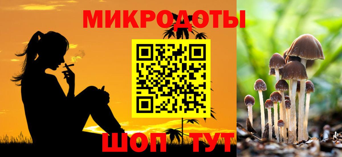Галлюциногенные грибы Cubensis  Вход с VPN  Лабинск 