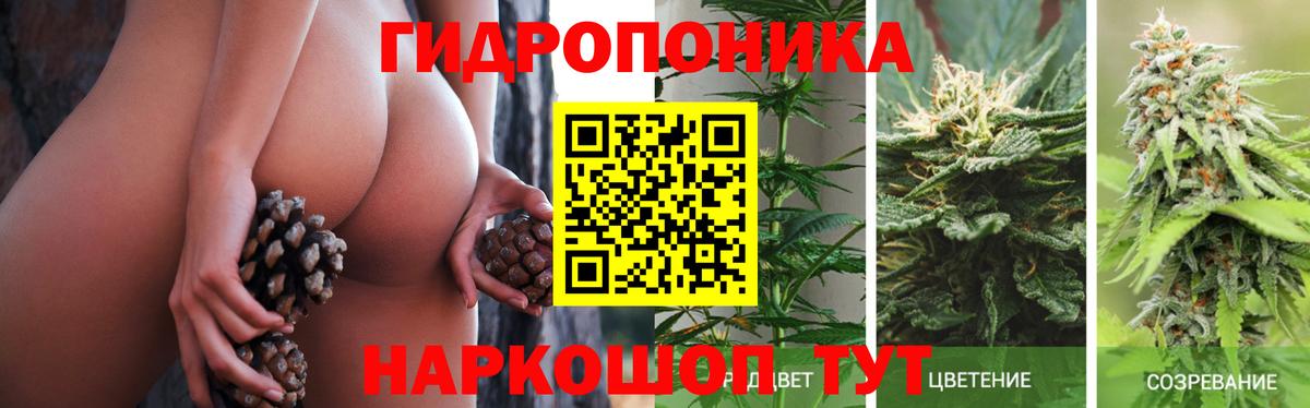 Конопля тримм  Каннабис White Widow  Канабис White Widow  Шишки марихуана семена  Вход с VPN  Лабинск 